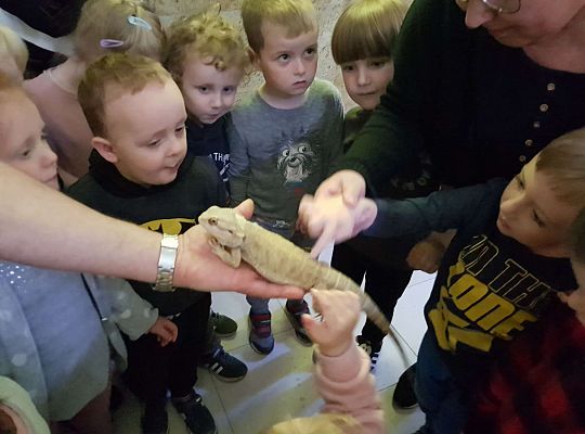 Gr. I i II Wycieczka do Tuchlina "Egzotyczne zoo"
