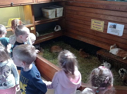 Gr. I i II Wycieczka do Tuchlina "Egzotyczne zoo"