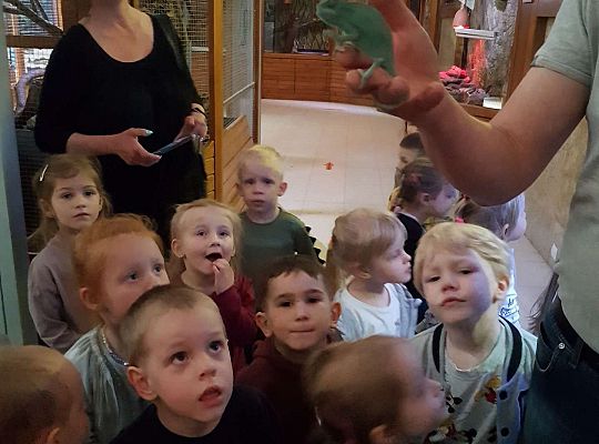 Gr. I i II Wycieczka do Tuchlina "Egzotyczne zoo"
