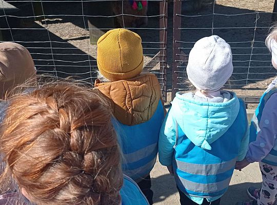 Gr. I i II Wycieczka do Tuchlina "Egzotyczne zoo"