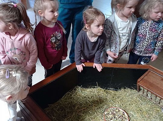 Gr. I i II Wycieczka do Tuchlina "Egzotyczne zoo"