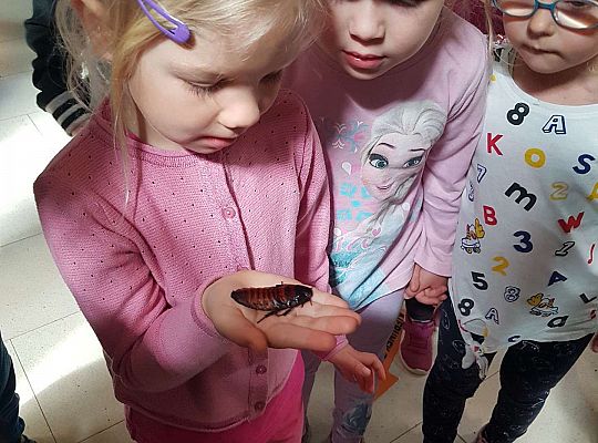 Gr. I i II Wycieczka do Tuchlina "Egzotyczne zoo"