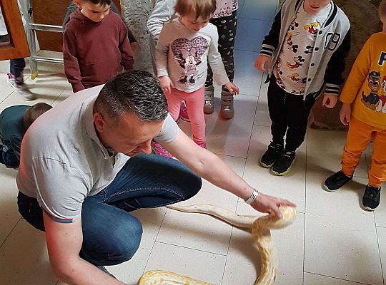 Gr. I i II Wycieczka do Tuchlina "Egzotyczne zoo"