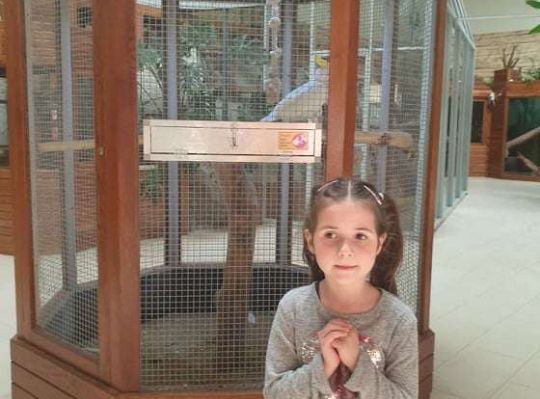 Gr. I i II Wycieczka do Tuchlina "Egzotyczne zoo"