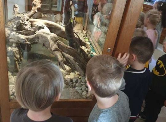 Gr. I i II Wycieczka do Tuchlina "Egzotyczne zoo"