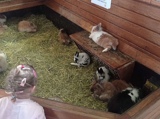 Gr. I i II Wycieczka do Tuchlina "Egzotyczne zoo"