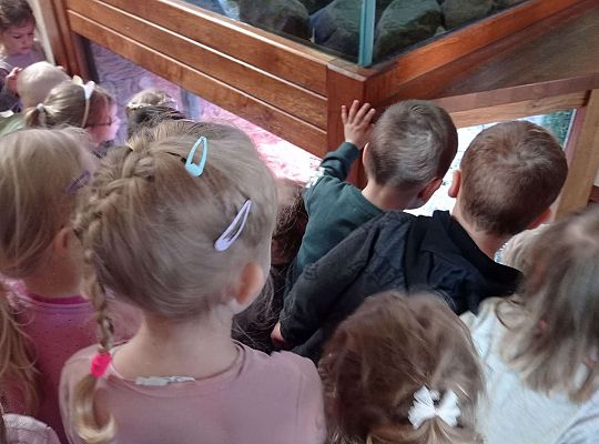 Gr. I i II Wycieczka do Tuchlina "Egzotyczne zoo"