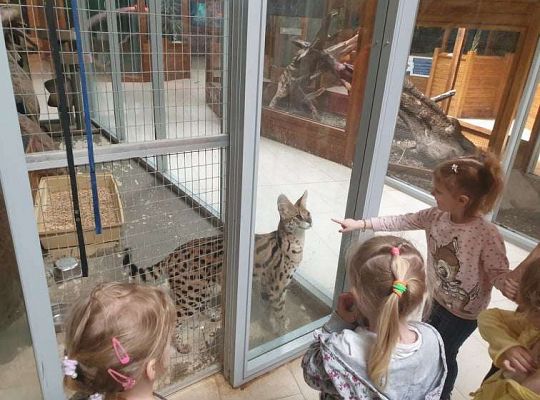Gr. I i II Wycieczka do Tuchlina "Egzotyczne zoo"