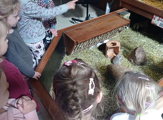 Gr. I i II Wycieczka do Tuchlina "Egzotyczne zoo"