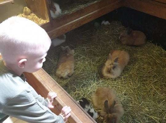 Gr. I i II Wycieczka do Tuchlina "Egzotyczne zoo"