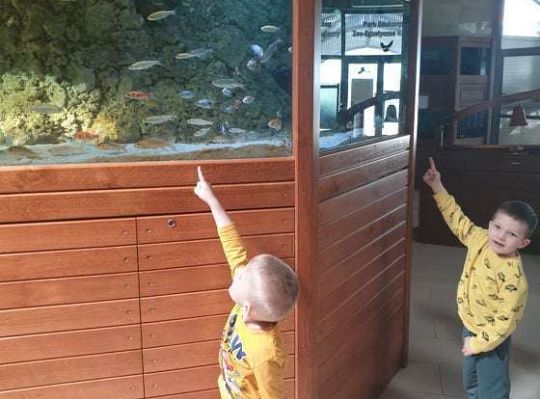 Gr. I i II Wycieczka do Tuchlina "Egzotyczne zoo"