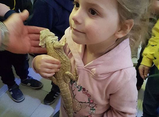 Gr. I i II Wycieczka do Tuchlina "Egzotyczne zoo"