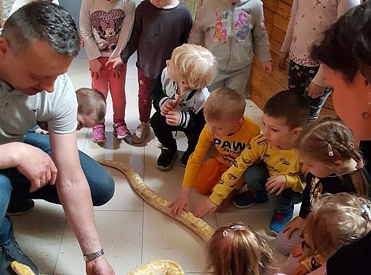 Gr. I i II Wycieczka do Tuchlina "Egzotyczne zoo"