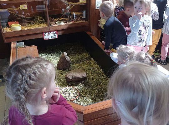 Gr. I i II Wycieczka do Tuchlina "Egzotyczne zoo"