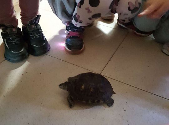 Gr. I i II Wycieczka do Tuchlina "Egzotyczne zoo"