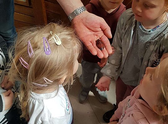 Gr. I i II Wycieczka do Tuchlina "Egzotyczne zoo"