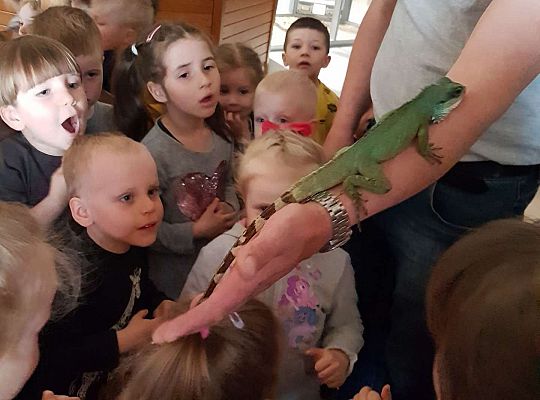 Gr. I i II Wycieczka do Tuchlina "Egzotyczne zoo"