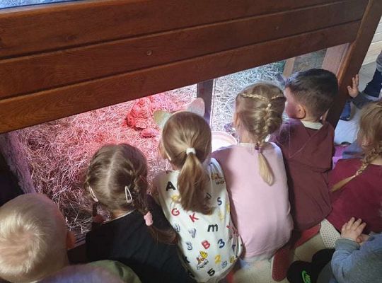 Gr. I i II Wycieczka do Tuchlina "Egzotyczne zoo"