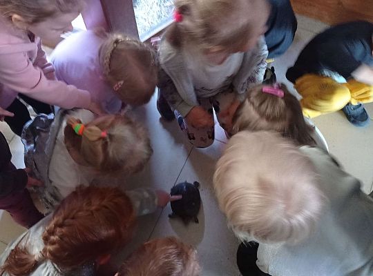 Gr. I i II Wycieczka do Tuchlina "Egzotyczne zoo"