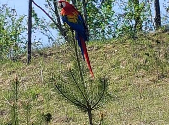 Gr. I i II Wycieczka do Tuchlina "Egzotyczne zoo"