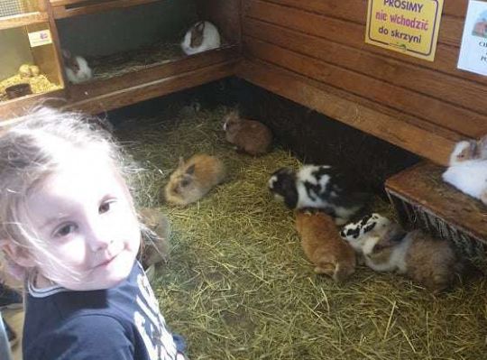 Gr. I i II Wycieczka do Tuchlina "Egzotyczne zoo"