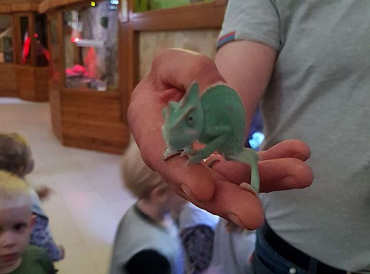 Gr. I i II Wycieczka do Tuchlina "Egzotyczne zoo"