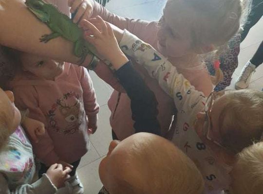 Gr. I i II Wycieczka do Tuchlina "Egzotyczne zoo"