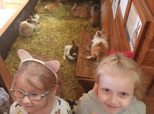 Gr. I i II Wycieczka do Tuchlina "Egzotyczne zoo"