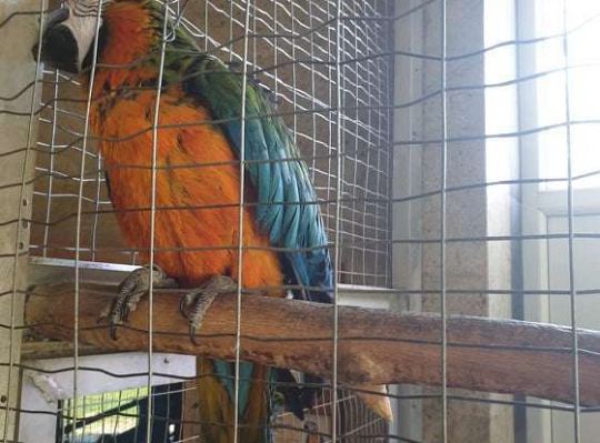 Gr. I i II Wycieczka do Tuchlina "Egzotyczne zoo"