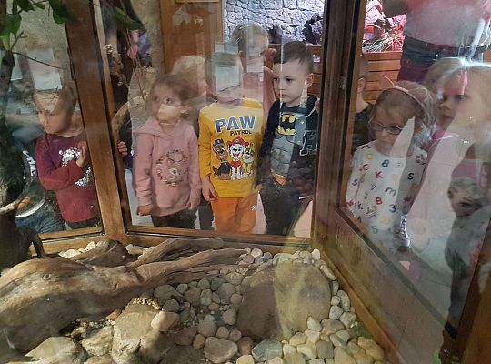 Gr. I i II Wycieczka do Tuchlina "Egzotyczne zoo"