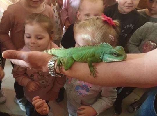 Gr. I i II Wycieczka do Tuchlina "Egzotyczne zoo"