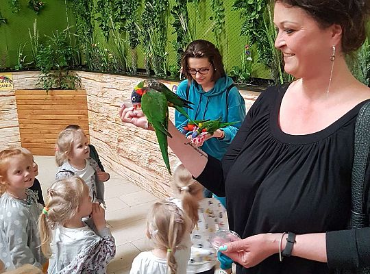 Gr. I i II Wycieczka do Tuchlina "Egzotyczne zoo"