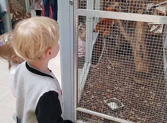 Gr. I i II Wycieczka do Tuchlina "Egzotyczne zoo"