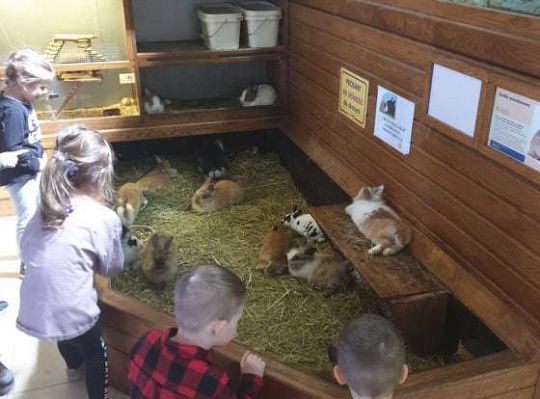 Gr. I i II Wycieczka do Tuchlina "Egzotyczne zoo"
