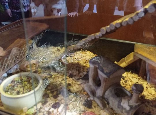 Gr. I i II Wycieczka do Tuchlina "Egzotyczne zoo"