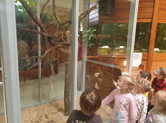 Gr. I i II Wycieczka do Tuchlina "Egzotyczne zoo"