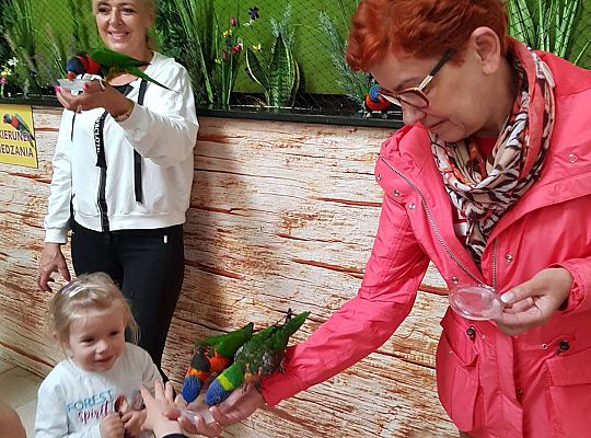 Gr. I i II Wycieczka do Tuchlina "Egzotyczne zoo"