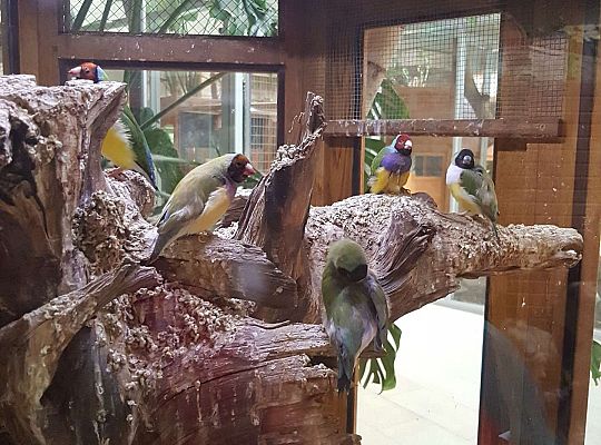 Gr. I i II Wycieczka do Tuchlina "Egzotyczne zoo"