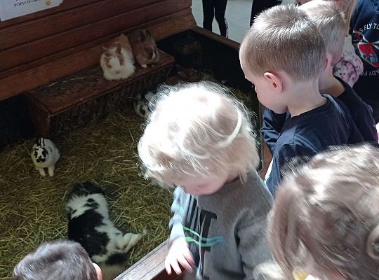 Gr. I i II Wycieczka do Tuchlina "Egzotyczne zoo"