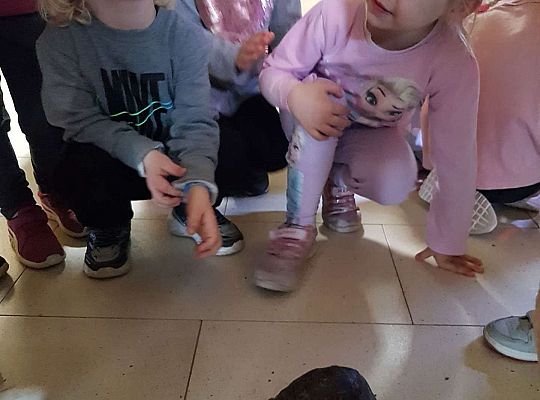 Gr. I i II Wycieczka do Tuchlina "Egzotyczne zoo"