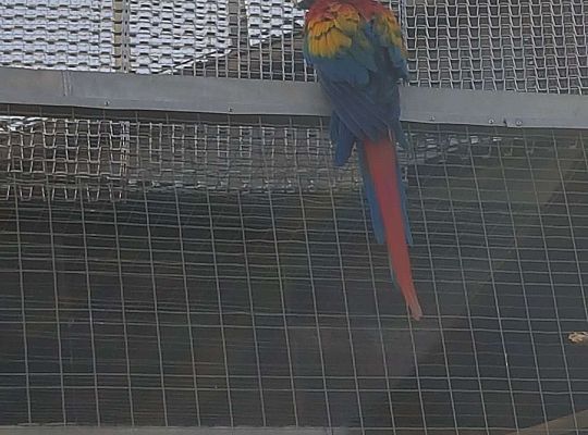 Gr. I i II Wycieczka do Tuchlina "Egzotyczne zoo"