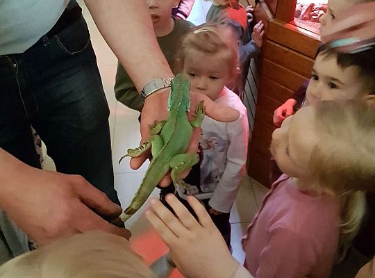 Gr. I i II Wycieczka do Tuchlina "Egzotyczne zoo"