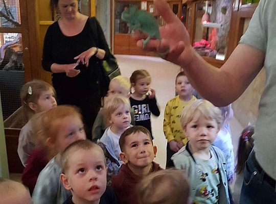Gr. I i II Wycieczka do Tuchlina "Egzotyczne zoo"