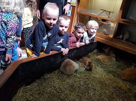 Gr. I i II Wycieczka do Tuchlina "Egzotyczne zoo"