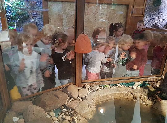 Gr. I i II Wycieczka do Tuchlina "Egzotyczne zoo"