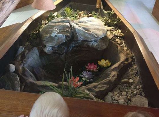 Gr. I i II Wycieczka do Tuchlina "Egzotyczne zoo"