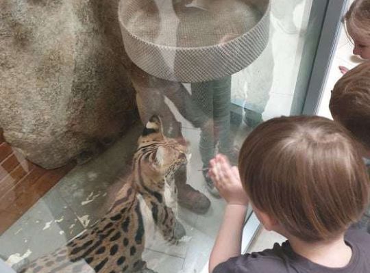 Gr. I i II Wycieczka do Tuchlina "Egzotyczne zoo"