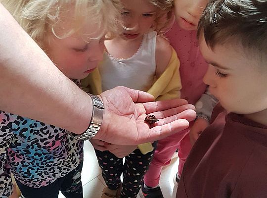 Gr. I i II Wycieczka do Tuchlina "Egzotyczne zoo"