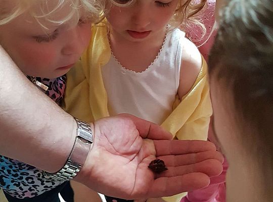 Gr. I i II Wycieczka do Tuchlina "Egzotyczne zoo"