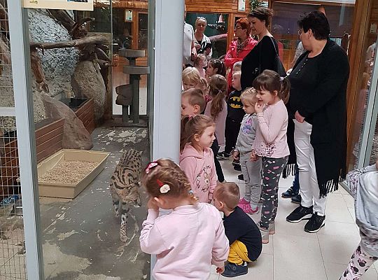 Gr. I i II Wycieczka do Tuchlina "Egzotyczne zoo"